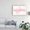Trademark Fine Art Rainbow Seeds Abstract Blush Gray Crop by Lisa Audit, 16x24 view 3