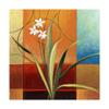 Trademark Fine Art Narrow Palm On Patches by Pablo Esteban, 18x18 view 1