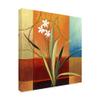 Trademark Fine Art Narrow Palm On Patches by Pablo Esteban, 18x18 view 2