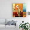 Trademark Fine Art Narrow Palm On Patches by Pablo Esteban, 18x18 view 3