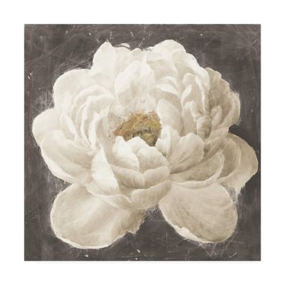 Trademark Fine Art Vivid Floral I White Flower by Danhui NAI, 24x24