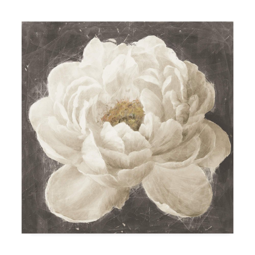 Trademark Fine Art Vivid Floral I White Flower by Danhui NAI, 24x24