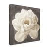 Trademark Fine Art Vivid Floral I White Flower by Danhui NAI, 24x24 view 2