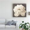 Trademark Fine Art Vivid Floral I White Flower by Danhui NAI, 24x24 view 3