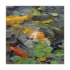 Trademark Fine Art Golden Koi Swimming by Chuck Larivey, 18x18 view 1