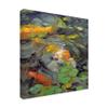 Trademark Fine Art Golden Koi Swimming by Chuck Larivey, 18x18 view 2