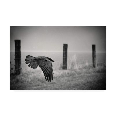 Trademark Fine Art Canvas Wall Art - Holger Droste 'The Day of The Raven' Wall Art for Living Room, Bedroom, or Office Dcor
