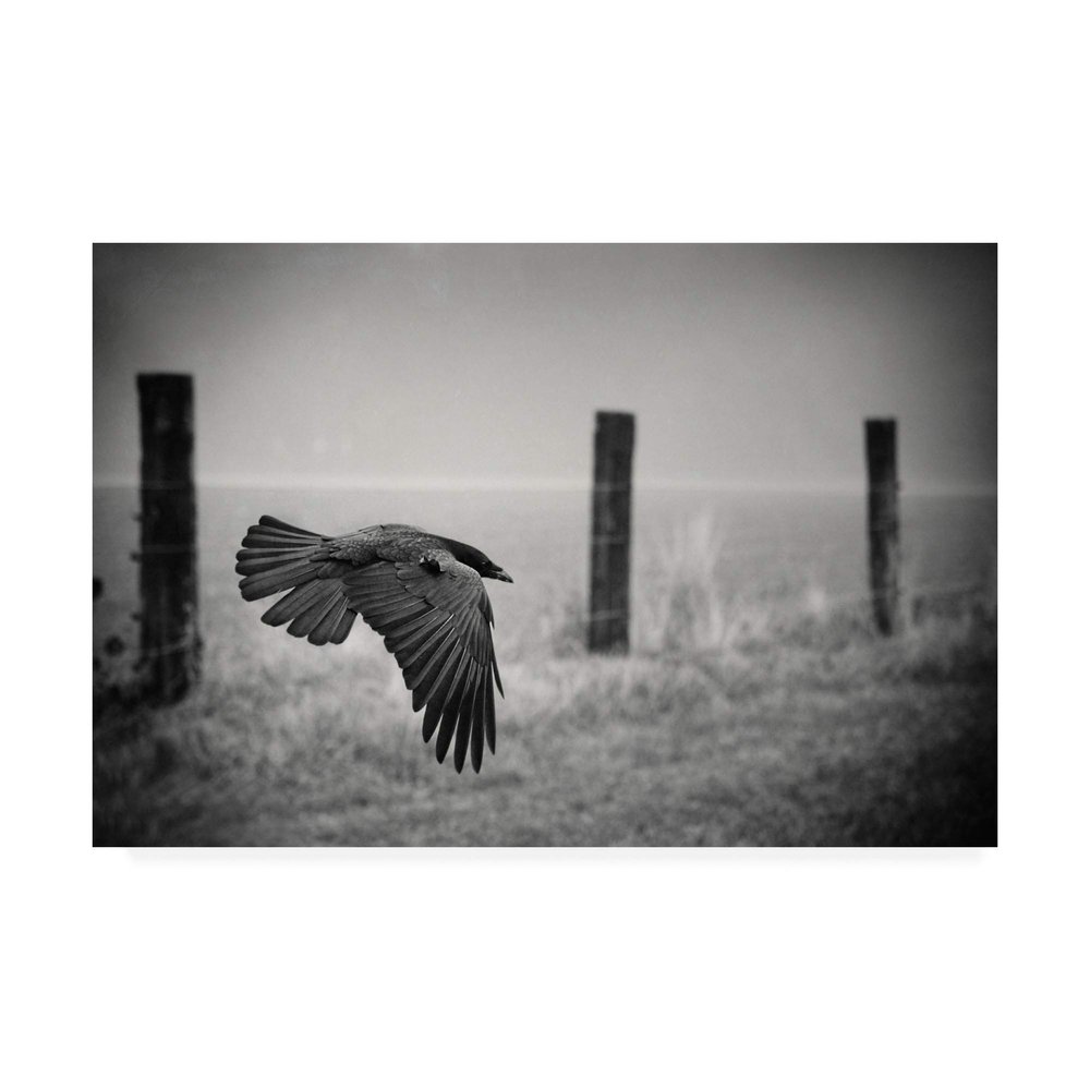 Trademark Fine Art Canvas Wall Art - Holger Droste 'The Day of The Raven' Wall Art for Living Room, Bedroom, or Office Dcor