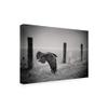 Trademark Fine Art Canvas Wall Art - Holger Droste 'The Day of The Raven' Wall Art for Living Room, Bedroom, or Office Dcor view 2