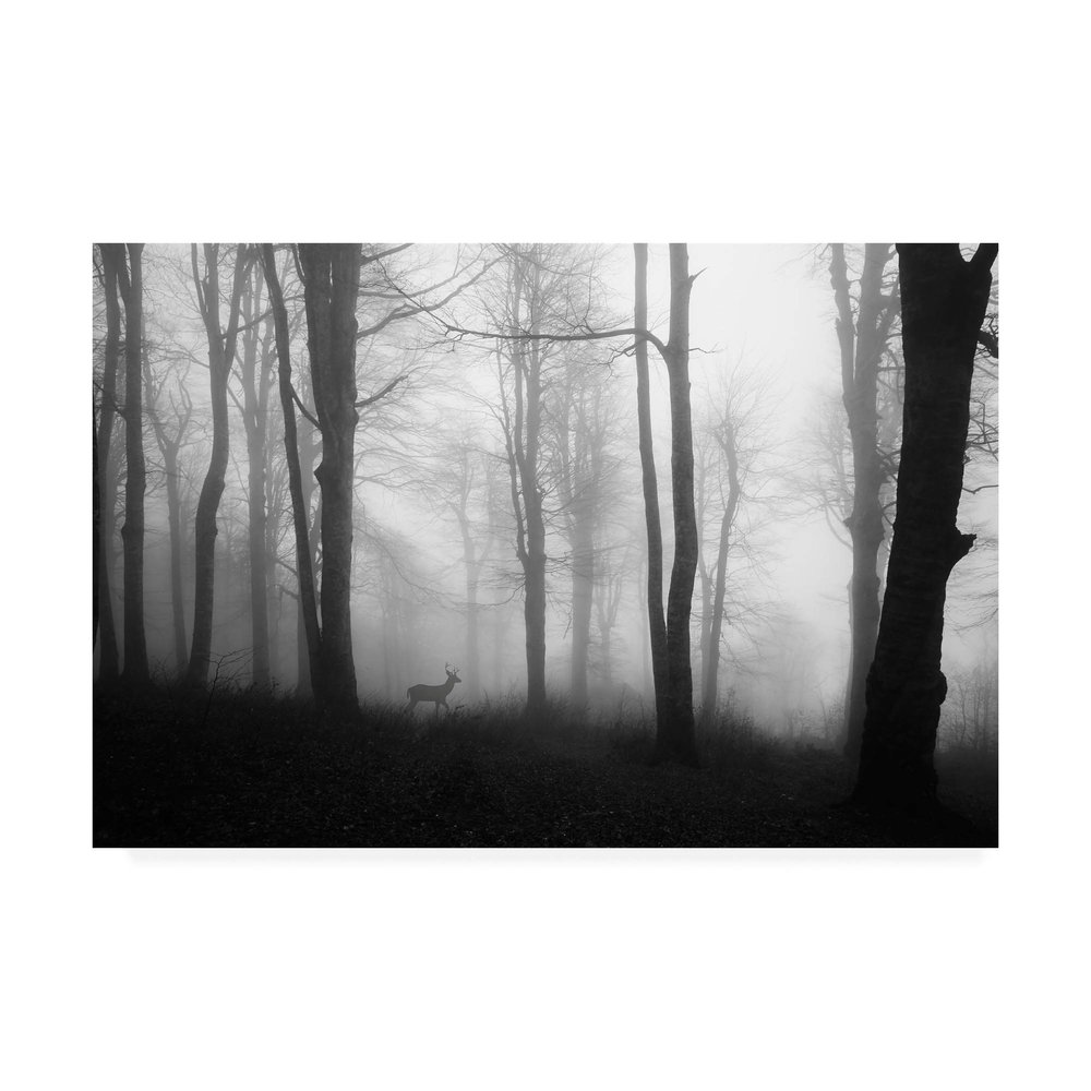 Trademark Fine Art Forest Silhouettes by Ummu Nisan, 16x24