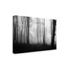 Trademark Fine Art Forest Silhouettes by Ummu Nisan, 16x24 view 2