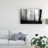 Trademark Fine Art Forest Silhouettes by Ummu Nisan, 16x24 view 3