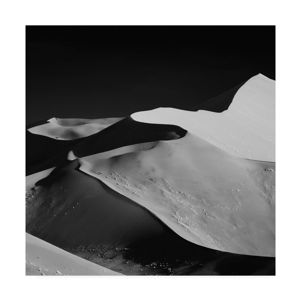 Trademark Fine Art Abstract Dunes Black by Mathilde Guillemot, 18x18