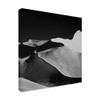 Trademark Fine Art Abstract Dunes Black by Mathilde Guillemot, 18x18 view 2
