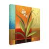 Trademark Fine Art Wide Palm On Patches by Pablo Esteban, 18x18 view 2
