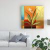 Trademark Fine Art Wide Palm On Patches by Pablo Esteban, 18x18 view 3