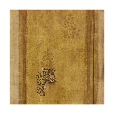Trademark Fine Art Leopard Over Bold by Pablo Esteban, 18x18