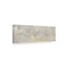 Trademark Fine Art White Abstract by Pablo Esteban, 10x32 view 2