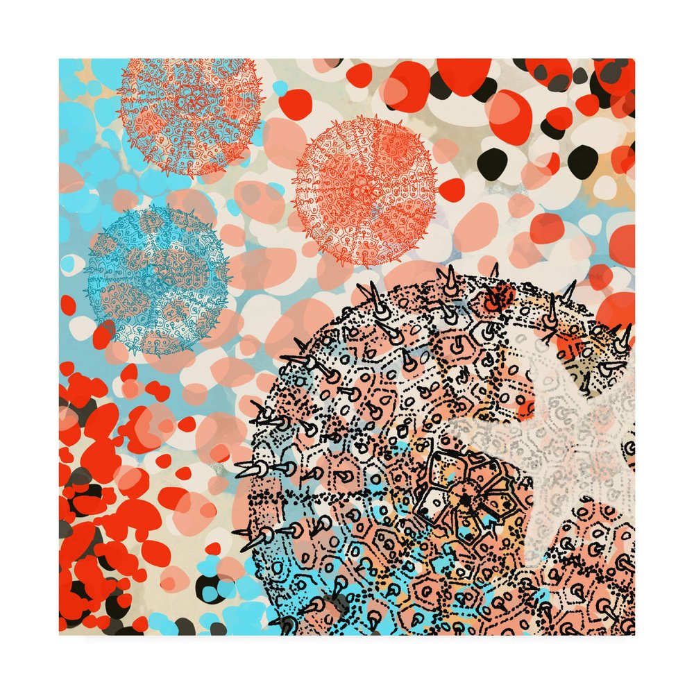 Trademark Fine Art Exotic Sea Life III by Irena Orlov, 18x18
