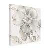 Trademark Fine Art Indigold V Gray by Lisa Audit, 18x18 view 2