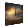 Trademark Fine Art Lonely Single Tree by Piotr Krol BAX, 18x18 view 2
