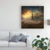 Trademark Fine Art Lonely Single Tree by Piotr Krol BAX, 18x18 view 3