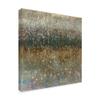 Trademark Fine Art Abstract Rain by Danhui NAI, 18x18 view 2