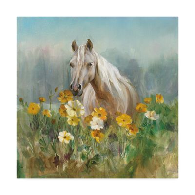 Trademark Fine Art Farm and Field II by Danhui NAI, 18x18