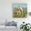 Trademark Fine Art Farm and Field II by Danhui NAI, 18x18 view 3