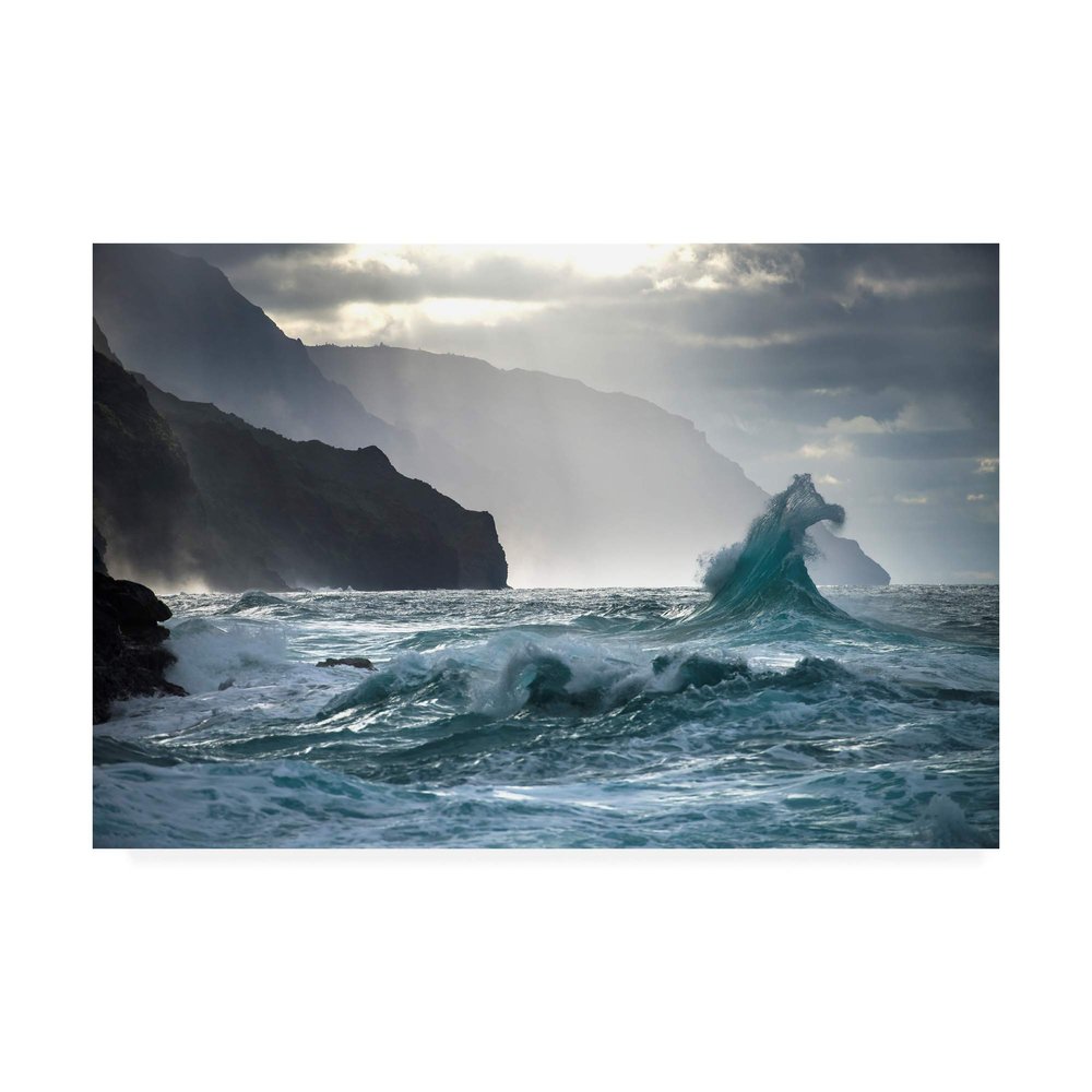 Trademark Fine Art Crashing Coastal Waves by Ali Rismanchi, 16x24