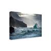 Trademark Fine Art Crashing Coastal Waves by Ali Rismanchi, 16x24 view 2