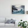 Trademark Fine Art Crashing Coastal Waves by Ali Rismanchi, 16x24 view 3