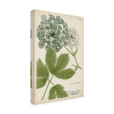 Wrapped Canvas Wall Art - Weinmann 'Queen Annes Lace Green' Wall Art for Living Room, Bedroom, or Office Dcor - 16x24