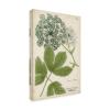 Wrapped Canvas Wall Art - Weinmann 'Queen Annes Lace Green' Wall Art for Living Room, Bedroom, or Office Dcor - 16x24 view 1