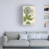 Wrapped Canvas Wall Art - Weinmann 'Queen Annes Lace Green' Wall Art for Living Room, Bedroom, or Office Dcor - 16x24 view 3