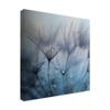 Trademark Fine Art Teardrop Dandelion by Mathieu irthum, 18x18 view 2