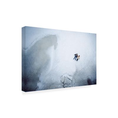 Wrapped Canvas Wall Art - Dmitriy 'Eternal Sunshine of The Spotless Mind' Wall Art for Living Room, Bedroom, or Office Dcor - 16x24