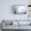 Wrapped Canvas Wall Art - Dmitriy 'Eternal Sunshine of The Spotless Mind' Wall Art for Living Room, Bedroom, or Office Dcor - 16x24 view 3