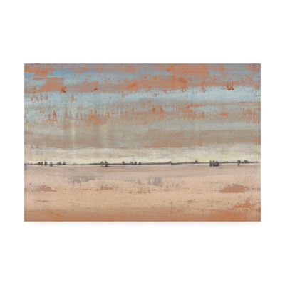 Trademark Fine Art Southwest Vista I by Tim Otoole, 16x24