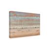 Trademark Fine Art Southwest Vista I by Tim Otoole, 16x24 view 2