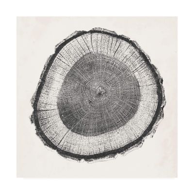 Trademark Fine Art Tree Ring II by Vision Studio, 18x18