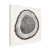 Trademark Fine Art Tree Ring II by Vision Studio, 18x18 view 2