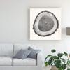 Trademark Fine Art Tree Ring II by Vision Studio, 18x18 view 3