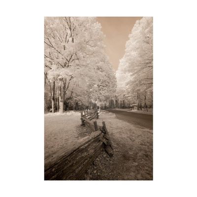 Trademark Fine Art Staggered Fence Sepia by Monte Nagler, 16x24