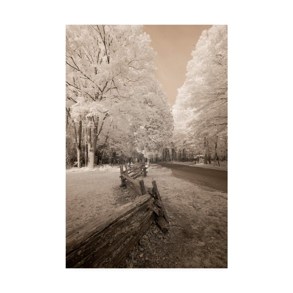 Trademark Fine Art Staggered Fence Sepia by Monte Nagler, 16x24
