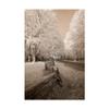 Trademark Fine Art Staggered Fence Sepia by Monte Nagler, 16x24 view 1