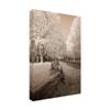Trademark Fine Art Staggered Fence Sepia by Monte Nagler, 16x24 view 2