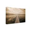 Trademark Fine Art Dock at Crooked Lake Conway Michigan by Monte Nagler, 16x24 view 2