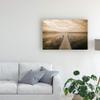 Trademark Fine Art Dock at Crooked Lake Conway Michigan by Monte Nagler, 16x24 view 3