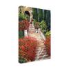 Trademark Fine Art Tuscany Garden Staircase by David Lloyd Glover, 16x24 view 2